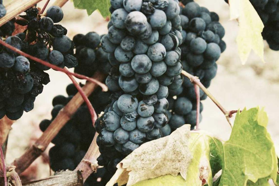 Aut amet maxime incidunt beatae voluptatem excepturi